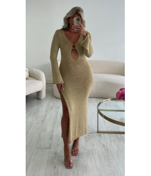 Gold mesh dress with ring