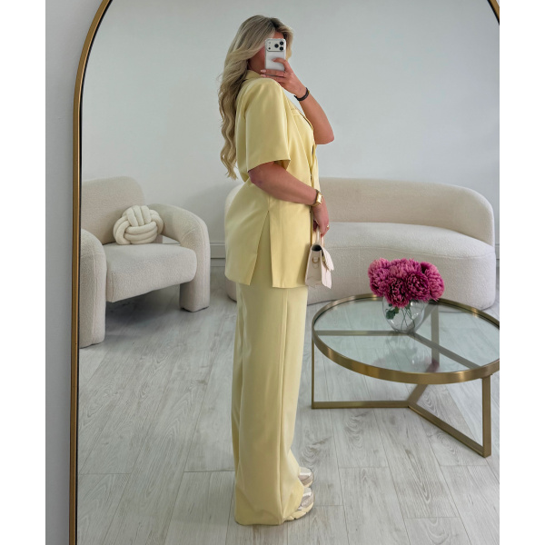 Pantalon tailleur jaune pastel - DRESS DESIREE